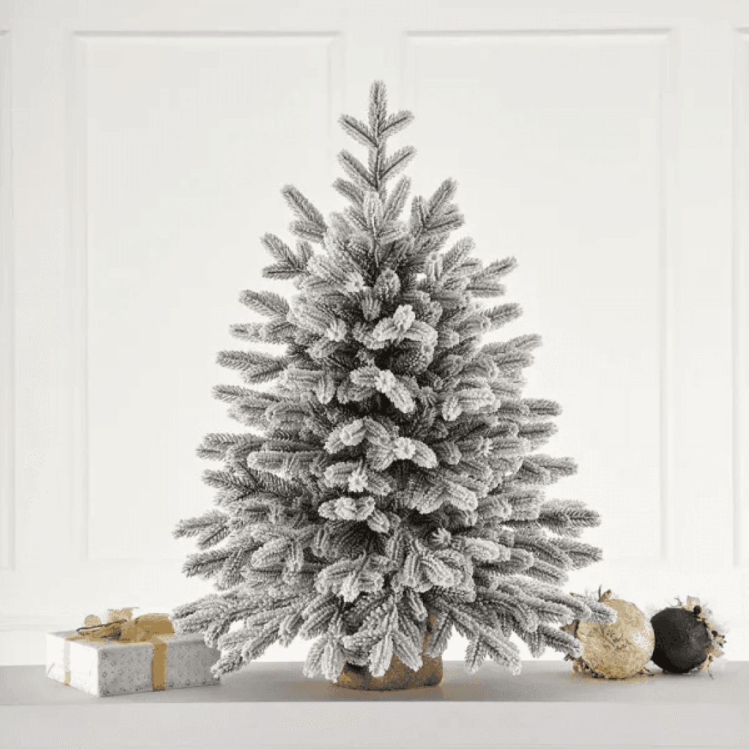 Frame 55.png