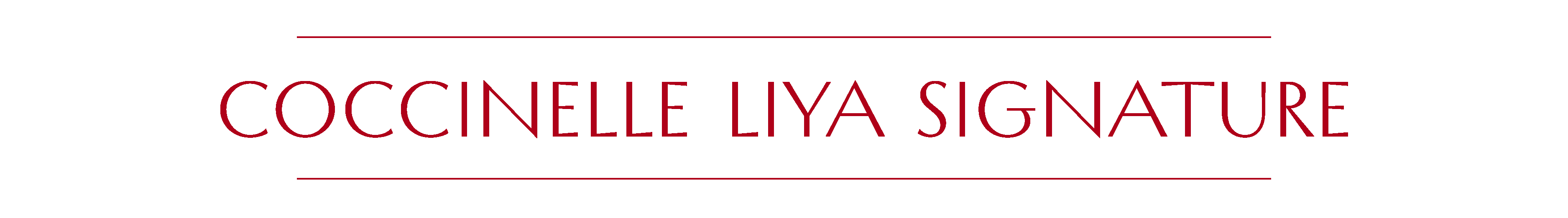 СУМКИ_Монтажная область 1.png