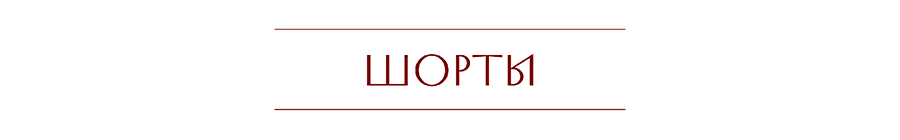 ШОРТЫ.png