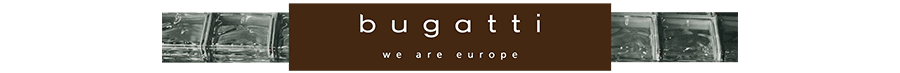 bugatti.png_0005_Слой-1.png