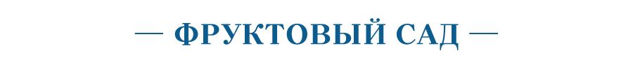 сад.jpg