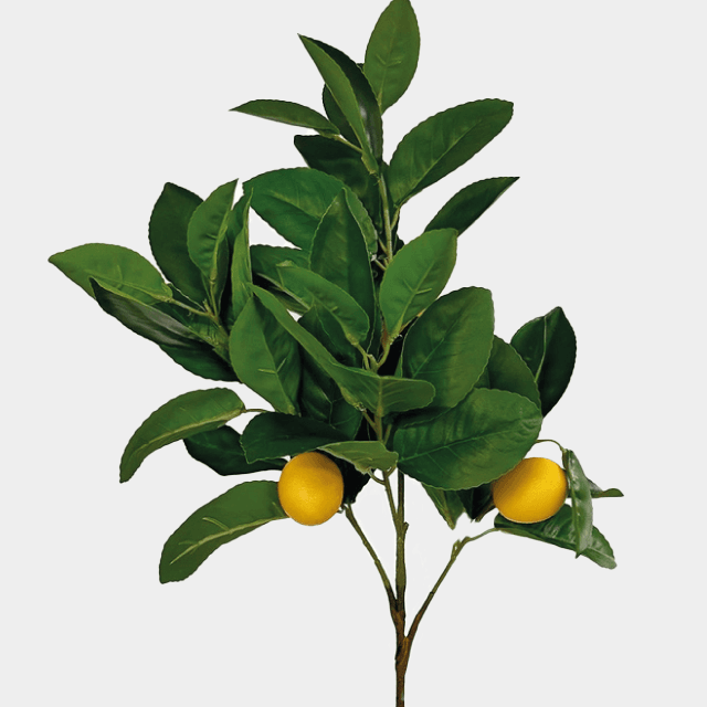 square_image_1_7a0f120941.png